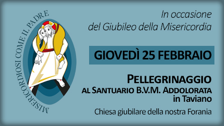 banner-pellegrinaggio-giubileo